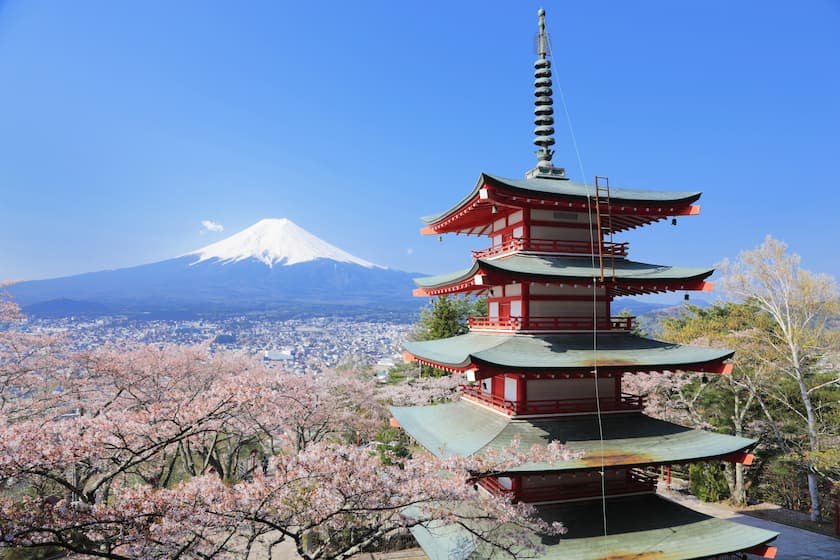 国内旅行・ツアー_富士山と桜
