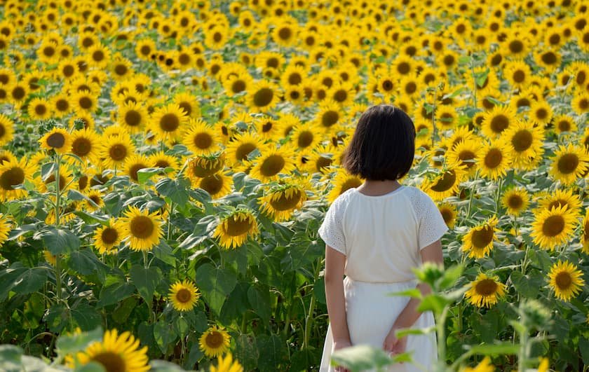 絶景を眺める様子