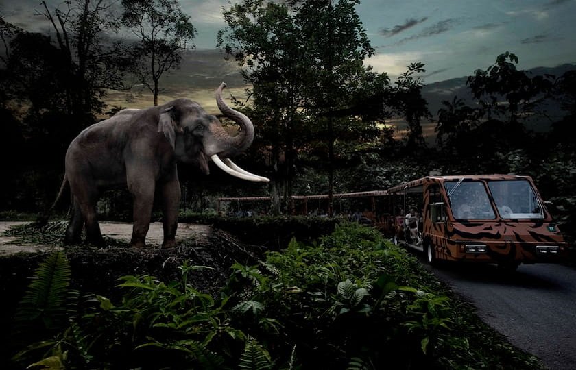 シンガポールのナイトサファリ、夜にだけオープンする動物園を詳しく解説！