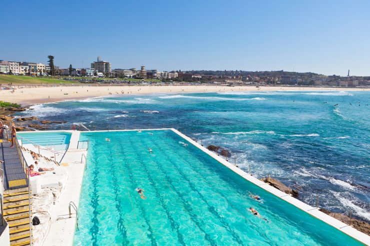 Bondi Icebergs