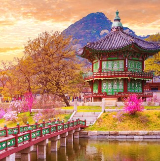 韓国旅行・ツアー