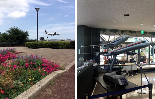 成田・さくらの山 空の駅さくら館