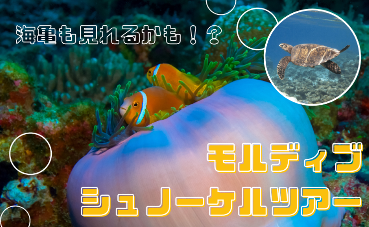モルディブオンラインツアー