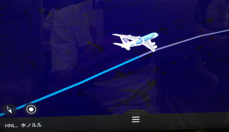 FLYING HONU機内