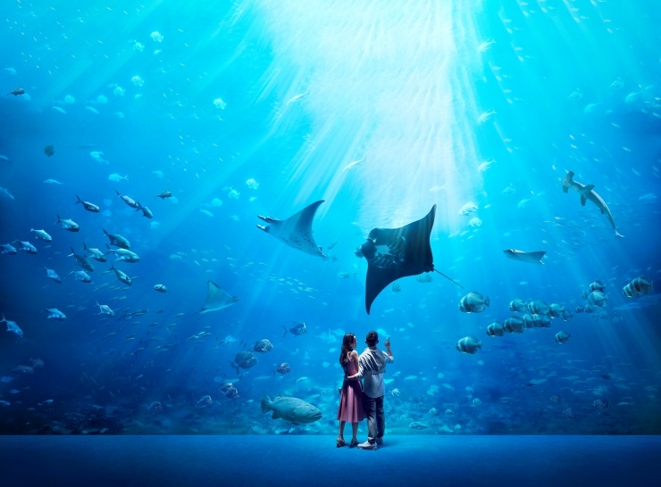 OpenOceanHabitat RWS提供