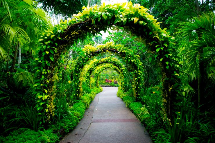 シンガポール植物園
