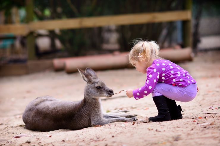 動物園で餌やりをする女の子