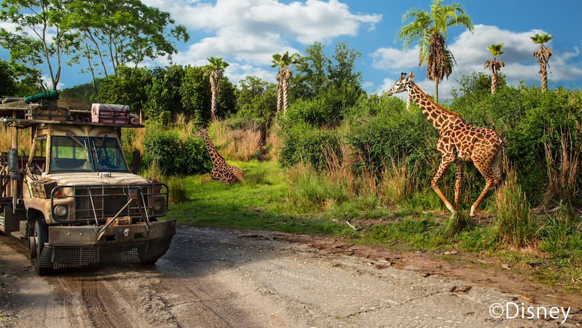Disney Animal kingdom ©Disney