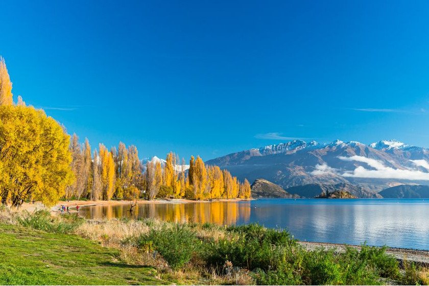ワナカ湖畔の黄葉