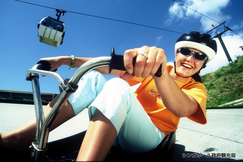 スカイライン・リュージュ 画像提供：シンガポール政府観光局