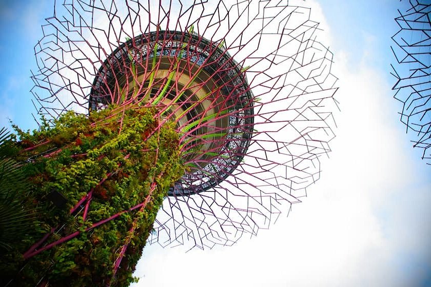 ガーデンズ・バイ・ザ・ベイ スーパーツリー・グローブ