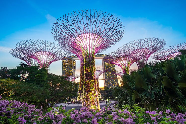シンガポール旅行を計画しよう