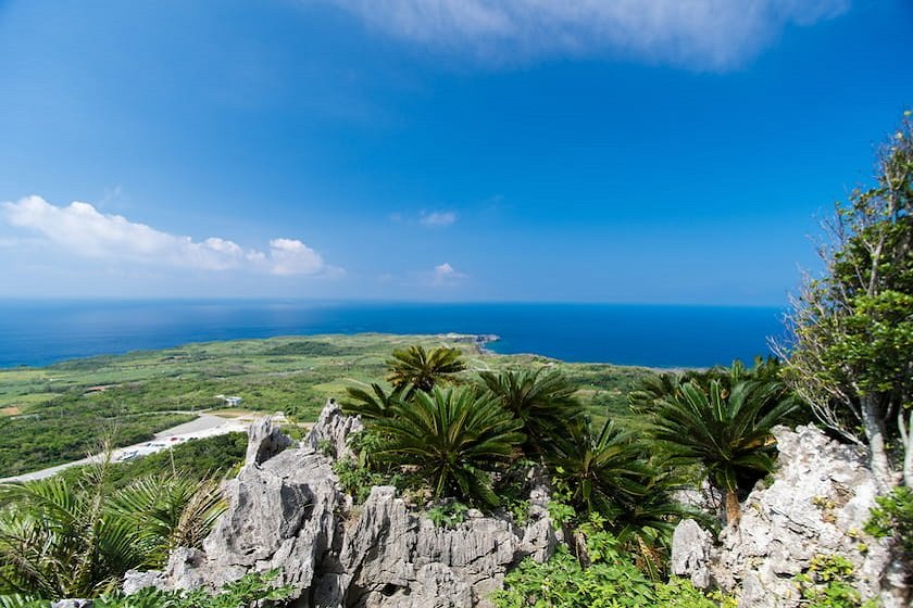 頂上付近からの眺め