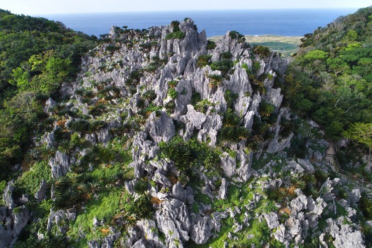 大石林山空撮
