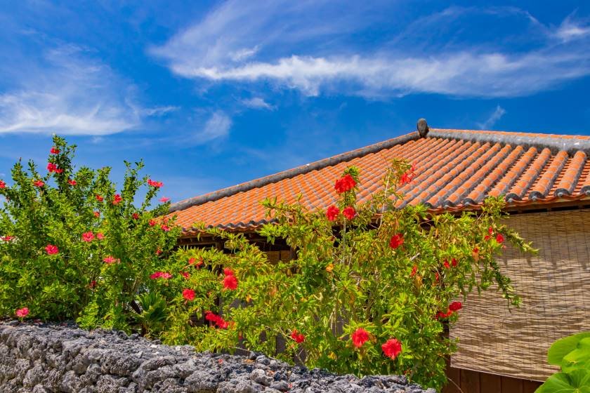 沖縄の民宿って、どこにあるの？