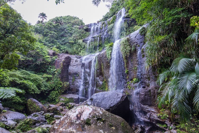 ネイチャーアイランド・西表島「ユツンの三段滝」