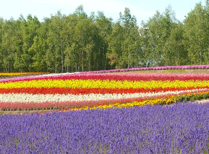 北海道 