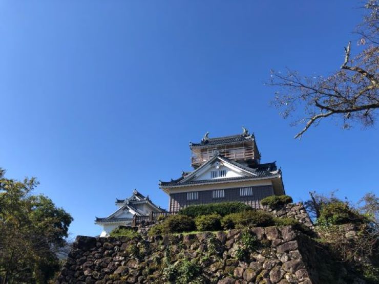 越前大野城