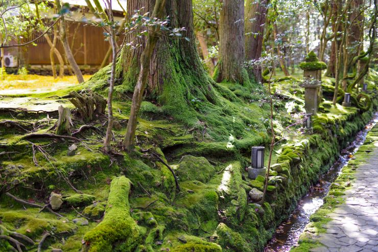 石川県小松観光スポット