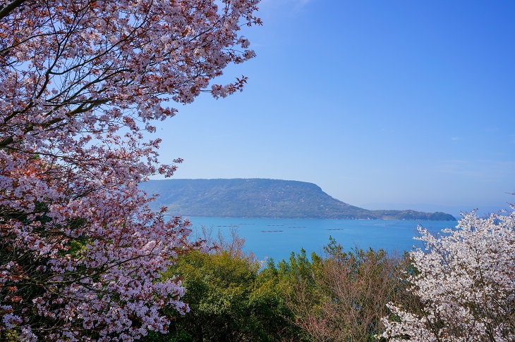 桜 瀬戸内海 屋島(香川県高松市)