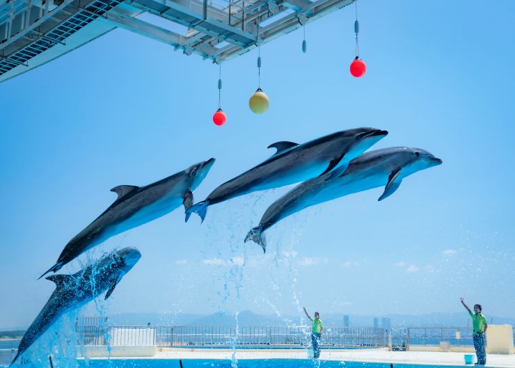 マリンワールド海の中道