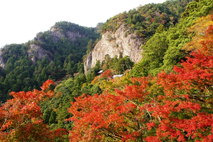 鳳来寺山の紅葉 提供:新城市観光協会