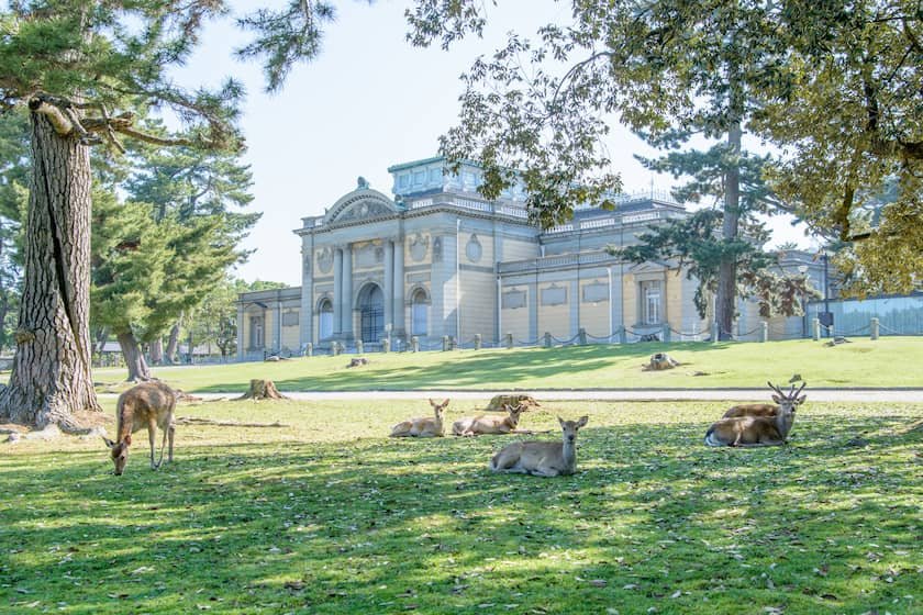 奈良国立博物館