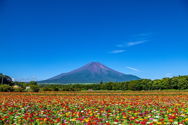 富士の国「山梨県」のおすすめ観光スポット7選