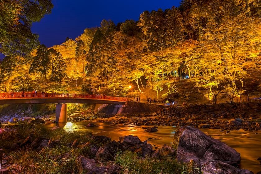 ライトアップされた香嵐渓の紅葉