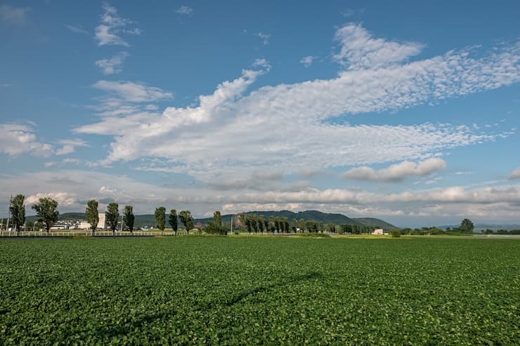 北海道_岩見沢の田園風景