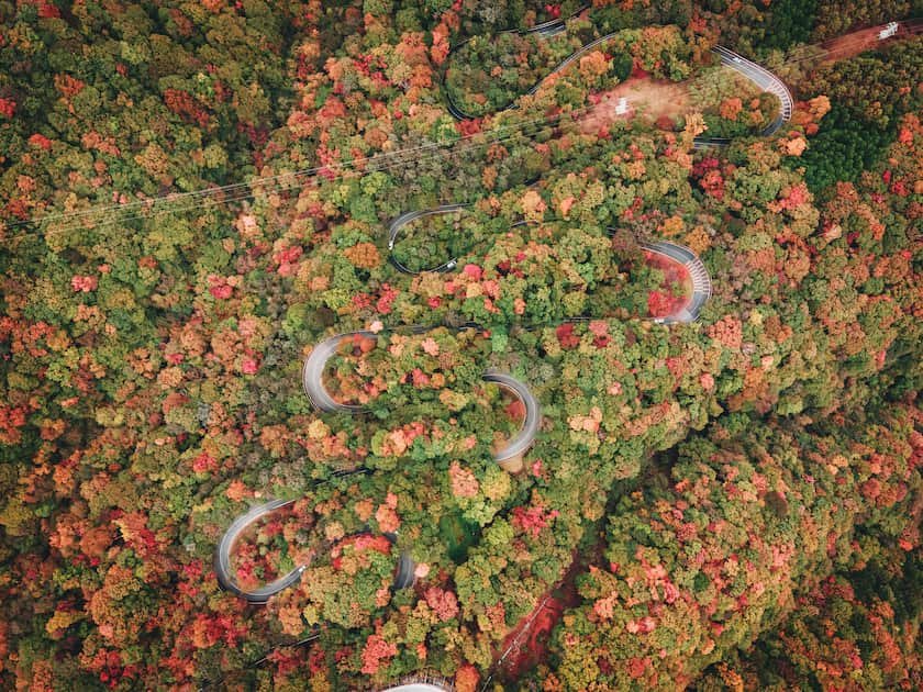 日光 いろは坂 秋の紅葉