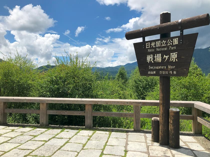 戦場ヶ原（三本松展望台）画像提供：日光市観光協会