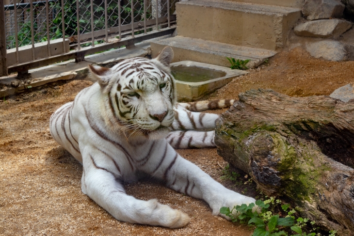 東武動物公園