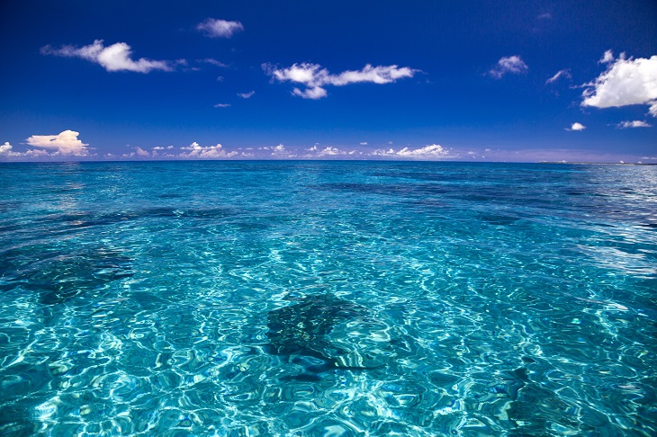 沖縄の海