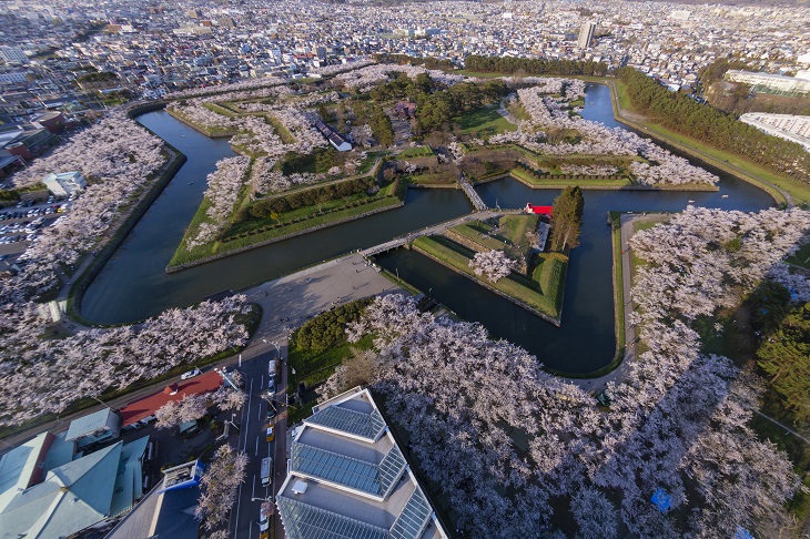 春の北海道お花見