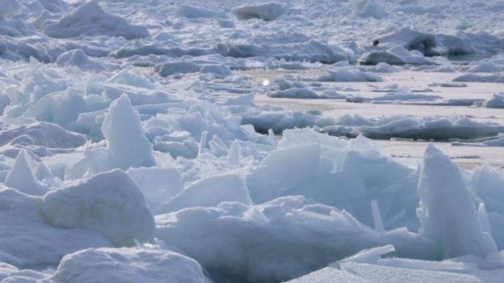 冬の北海道風物詩「流氷」のイロハをご紹介！