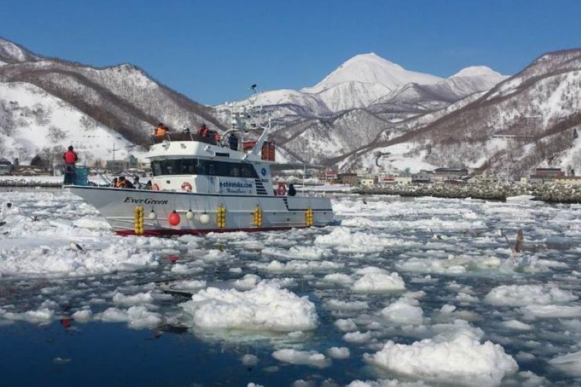 羅臼流氷クルーズ 提供：知床ネイチャークルーズ