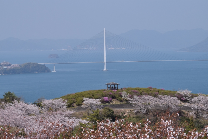 開山公園