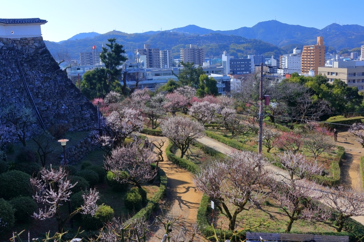  高知公園