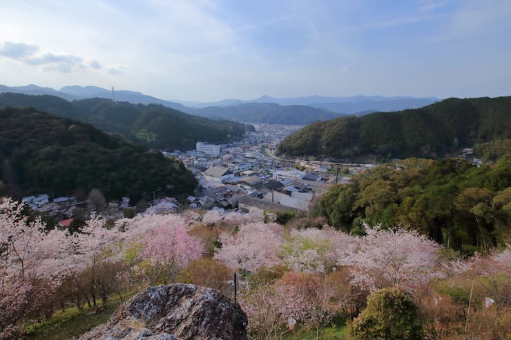 牧野公園　春らんまん