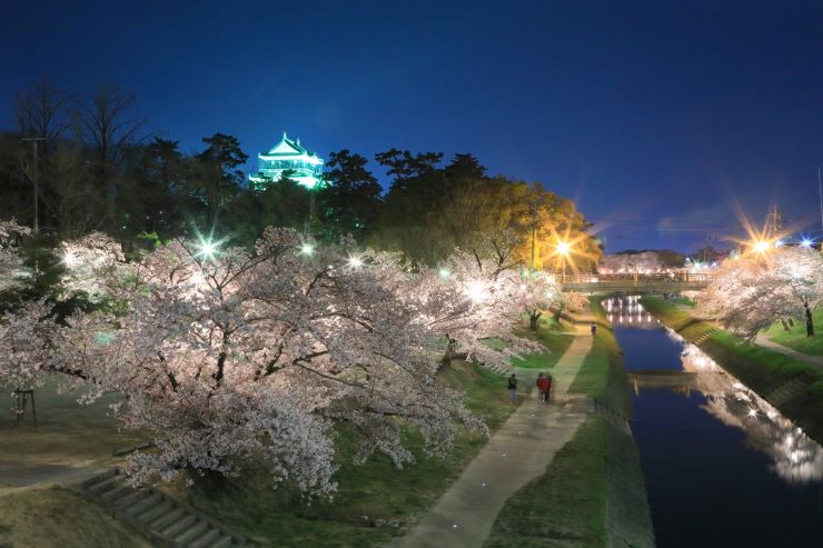 岡崎の桜まつり