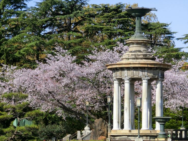 鶴舞公園 噴水塔とソメイヨシノ