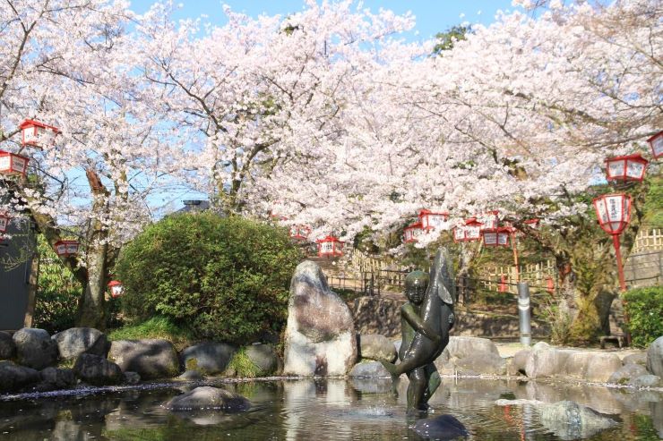 富山県 朝日山公園の桜