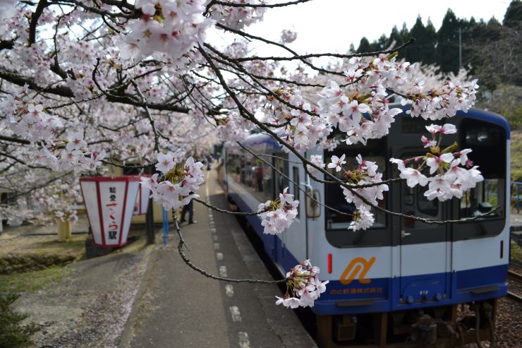 【北陸地方】おすすめの桜の名所&お花見スポット9選