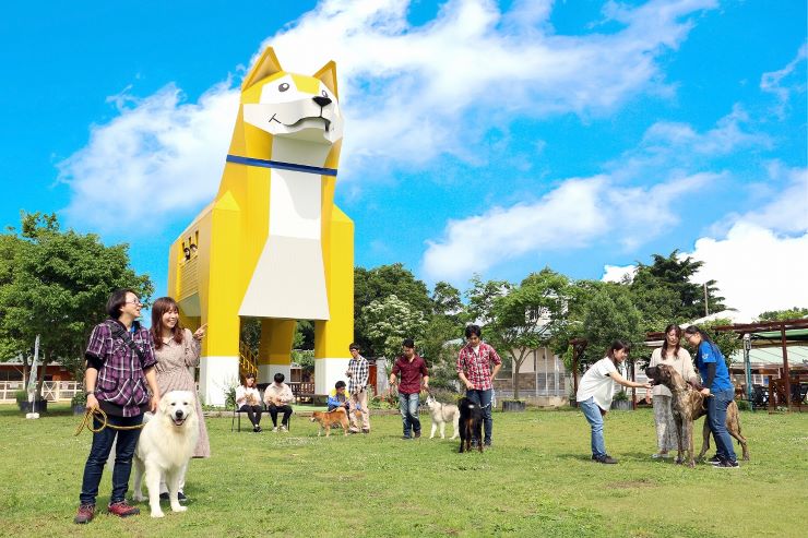 おさえておきたい！茨城おすすめ観光スポット