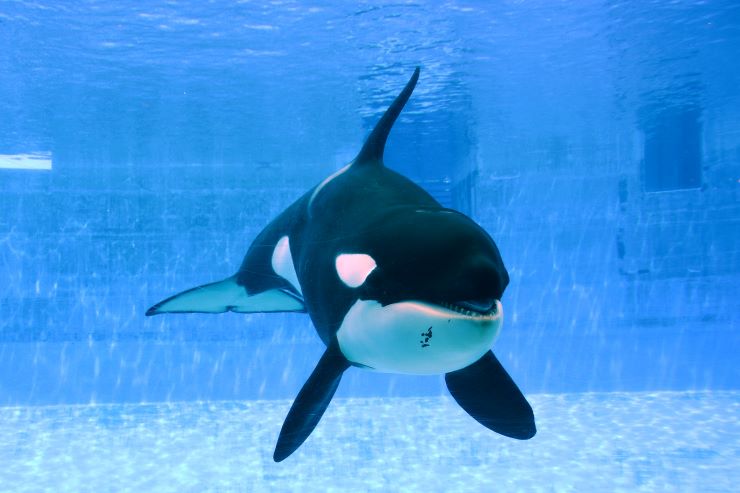 名古屋港水族館