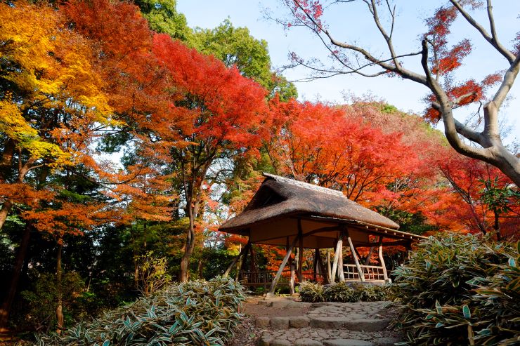 都心からアクセス抜群の関東地方の紅葉スポット11選