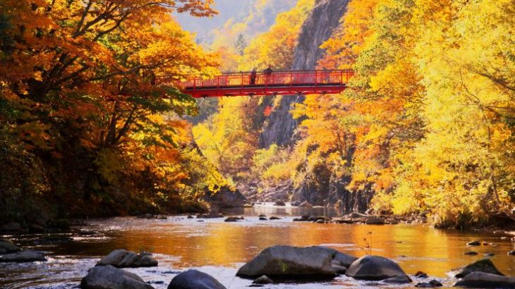北海道の紅葉