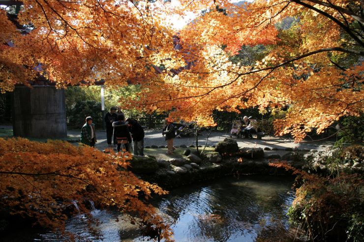 山中温泉-鶴仙渓-紅葉