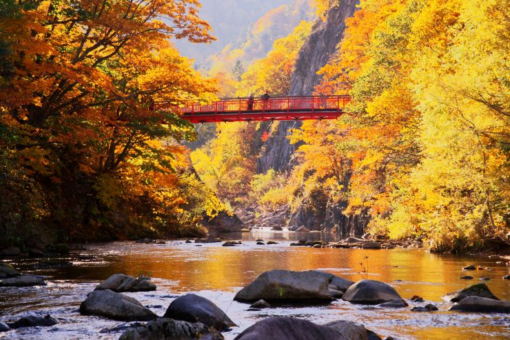 どこよりも早く紅葉を満喫しよう!北海道のおすすめ紅葉スポット7選